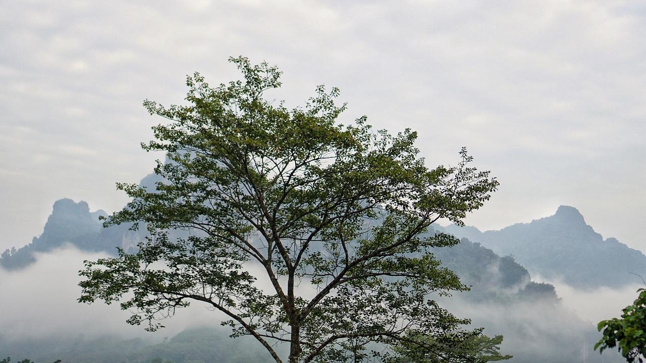 Khaowong Resort Phang Nga Exteriér fotografie